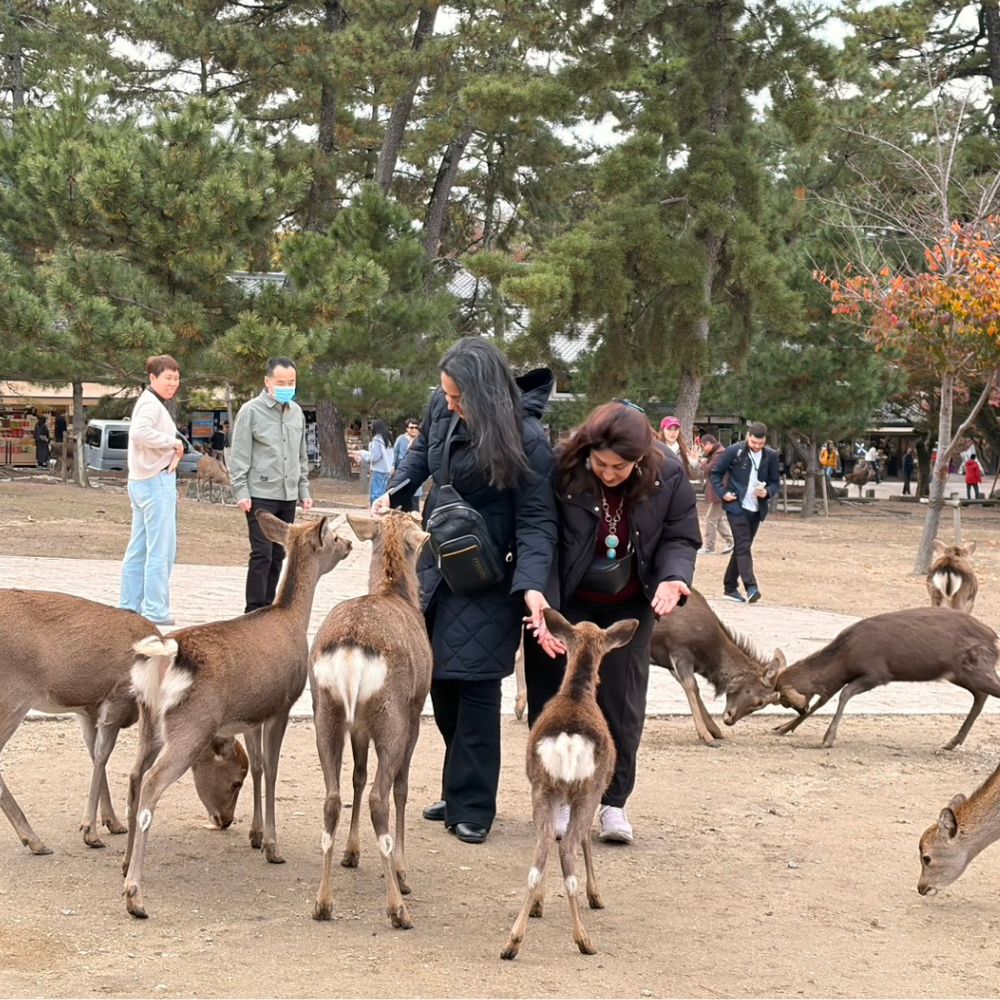 Narapark