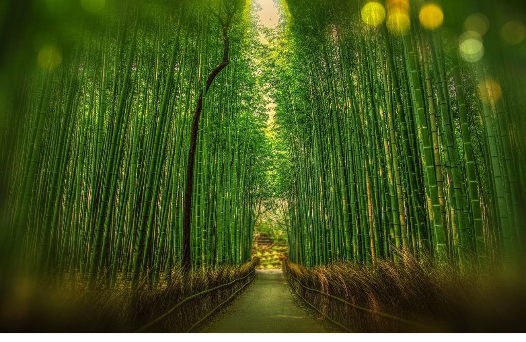 arashiyama_1024