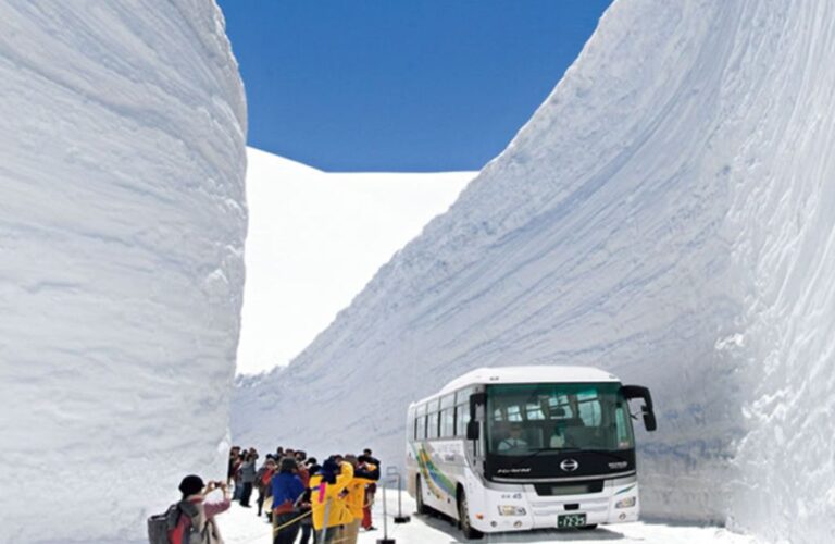 Enjoy Nature and Breathtaking Views: A Unique Mountain Adventure on the Tateyama Kurobe Alpine Route
