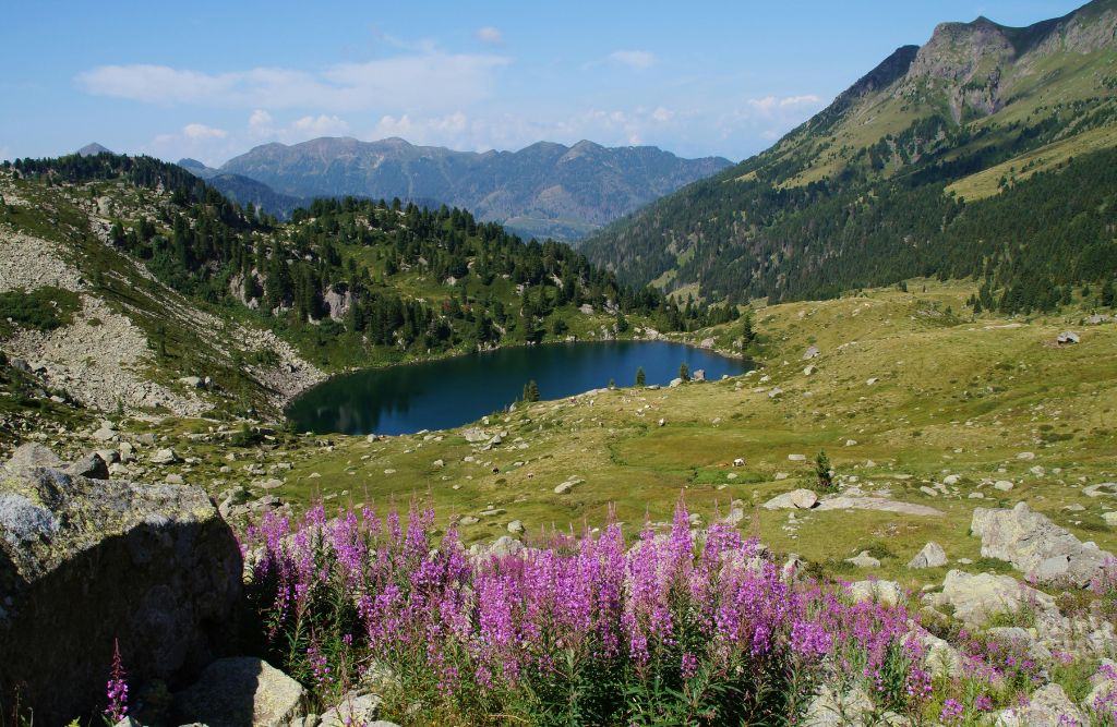 blog_74