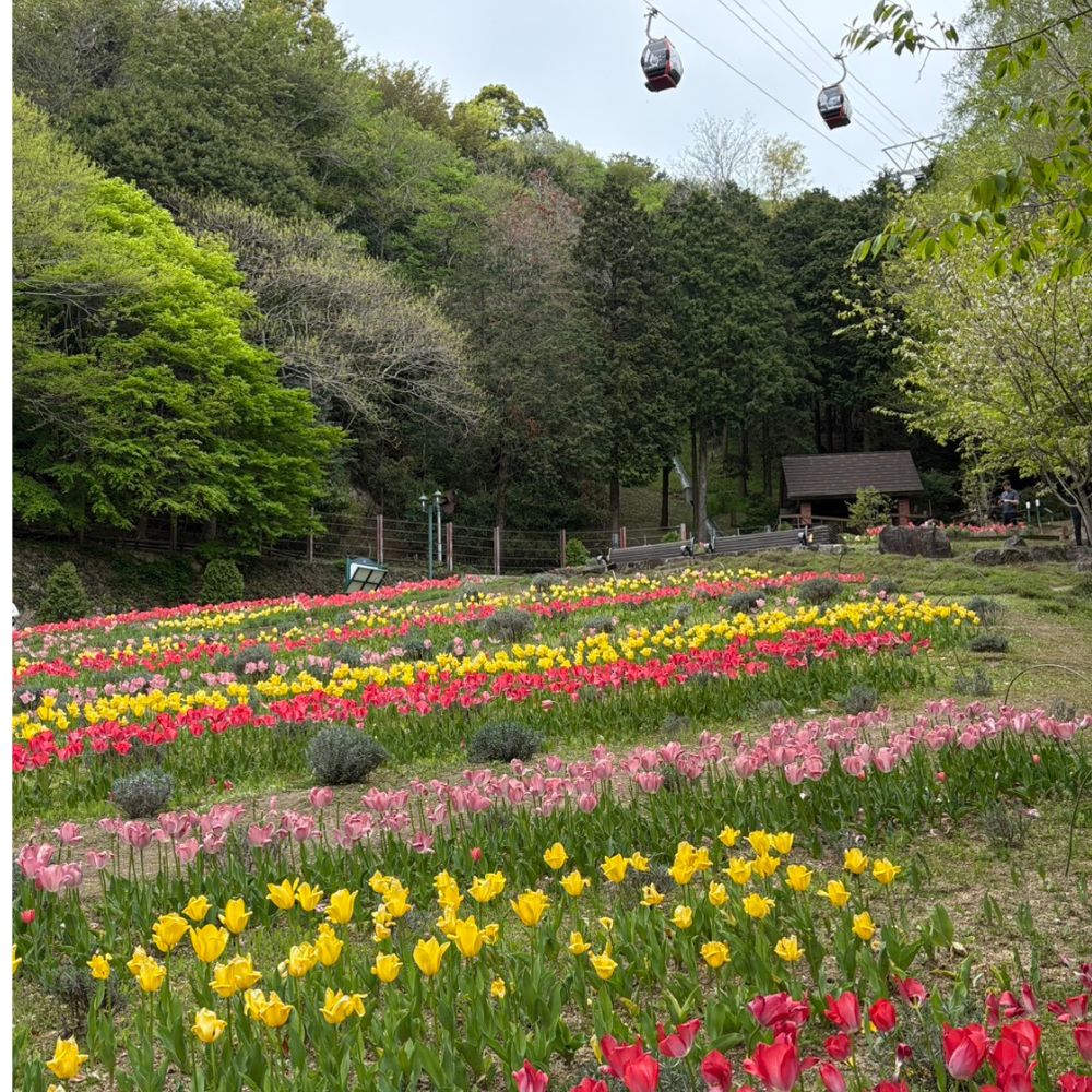 Kobe nunobiki in April