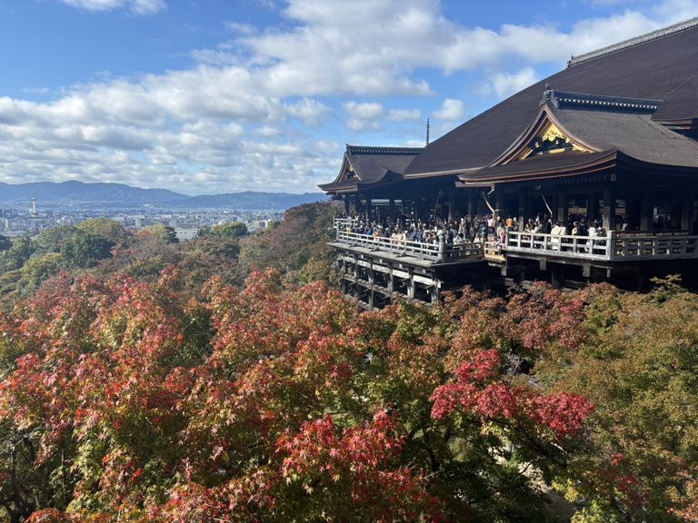 JAPAN AUTUMN LEAVES 2026