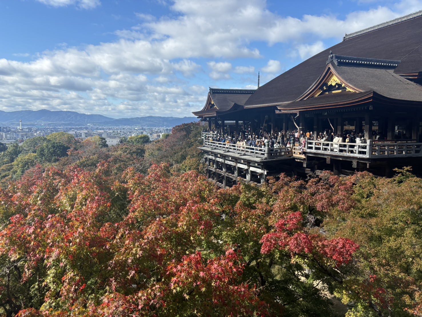 投稿についてもっと詳しく JAPAN AUTUMN LEAVES 2026